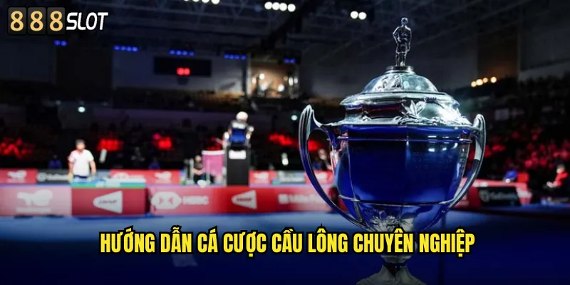 Hướng Dẫn Cá Cược Cầu Lông Chuyên Nghiệp